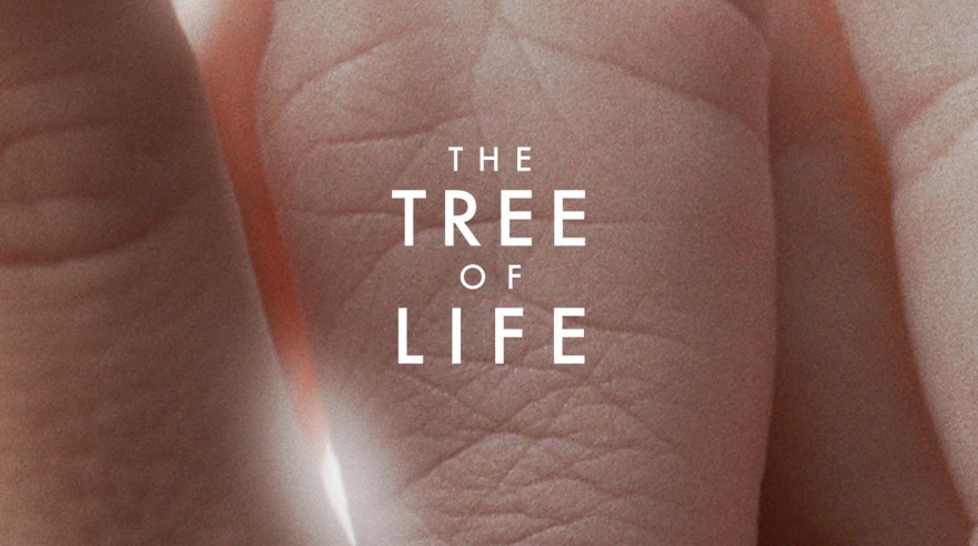 Tree of Life, The (2011)